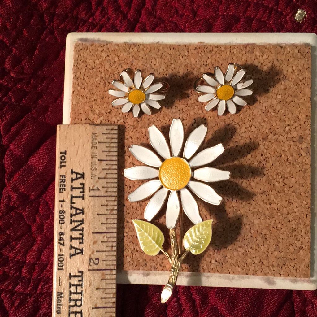 Vintage Accessocraft Nyc Daisy Flower Brooch With Matching Clip On Earrings
